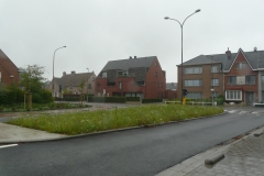 Bloemenweide